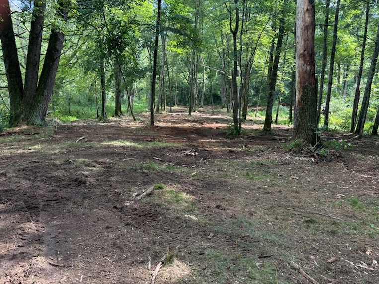 After we were done clearing brush and overgrowth - the riverbank is accessible.