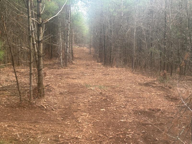 The row is clear, smooth, and provides viewing for quite a distance.