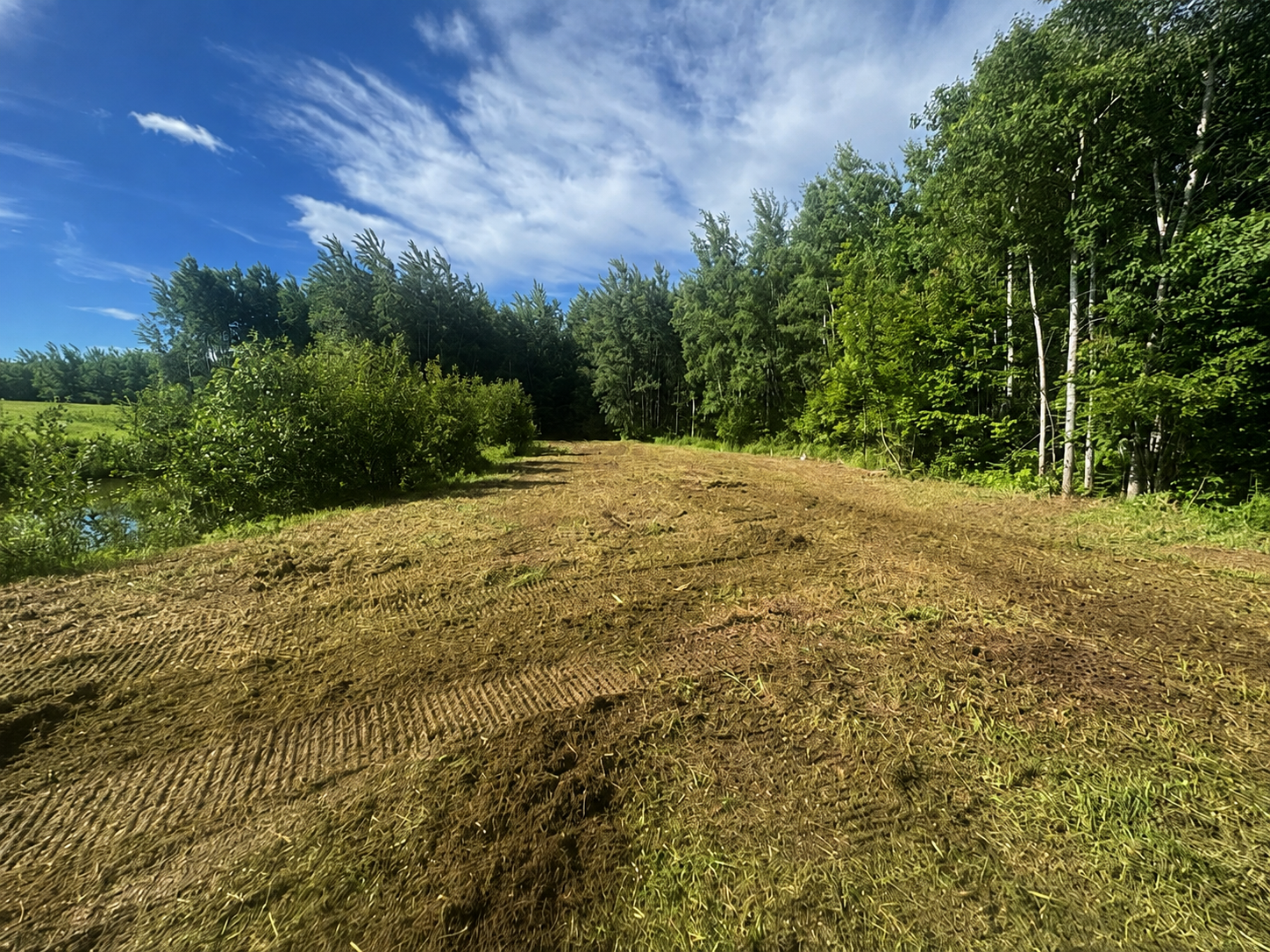 Restored pond perimeter and visible property boundary following professional clearing