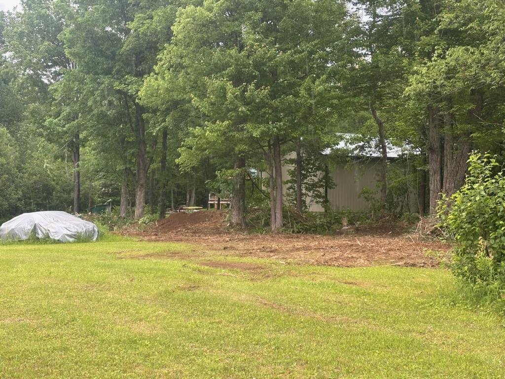 Cleared and open lot in Ladysmith, WI with restored line-of-sight to property structures after brush clearing