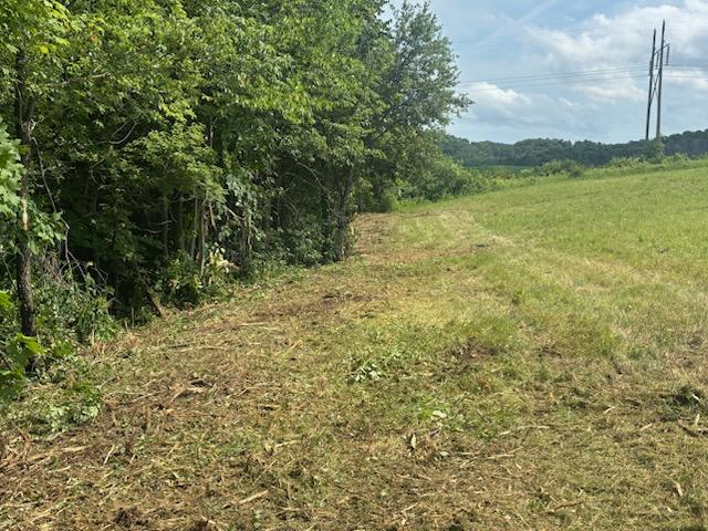 Fence line cleared of brush and debris showing full boundary after land clearing in Menomonie WI