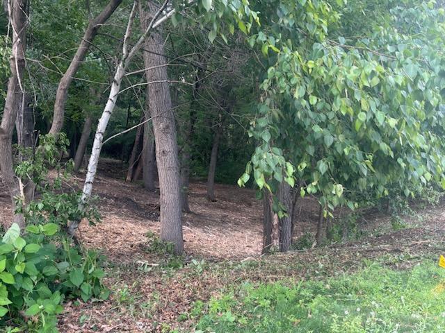 Cleared backyard slope with open, clean downward grade after professional brush removal in Menomonie, WI