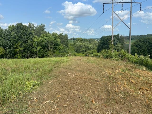 Clean, open corridor leading to a fence line after overgrown brush and invasive weed removal in Spring Valley, Wisconsin by Red Cedar Line & Lot Clearing